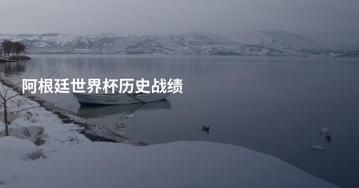 阿根廷世界杯历史战绩