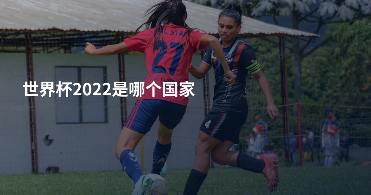 世界杯2022是哪个国家