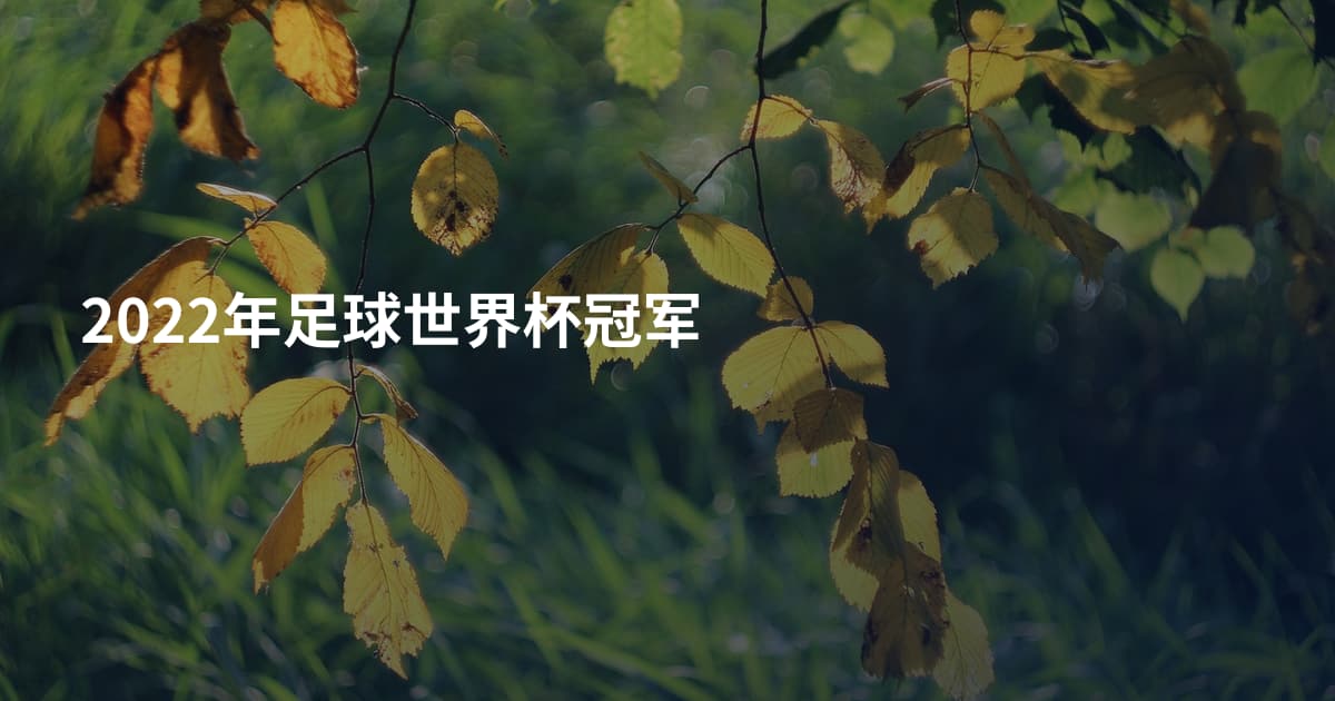2022年足球世界杯冠军