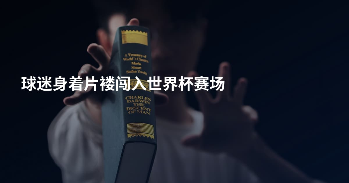 球迷身着片褛闯入世界杯赛场