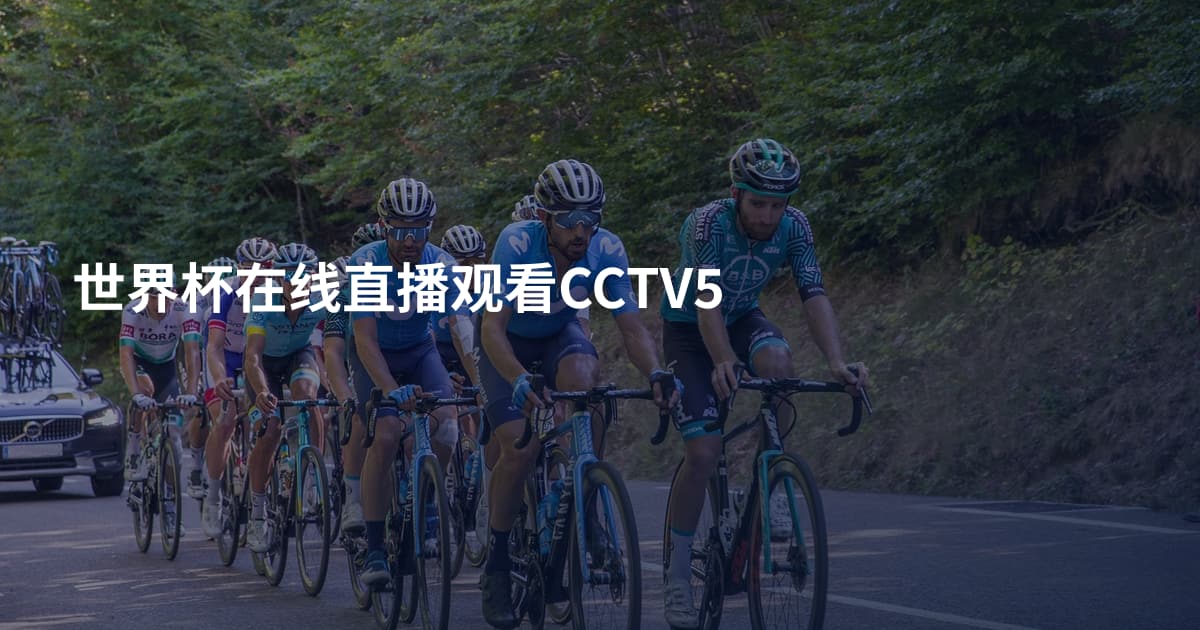 世界杯在线直播观看CCTV5