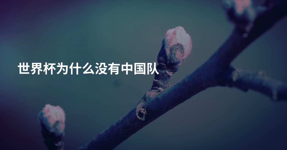 世界杯为什么没有中国队