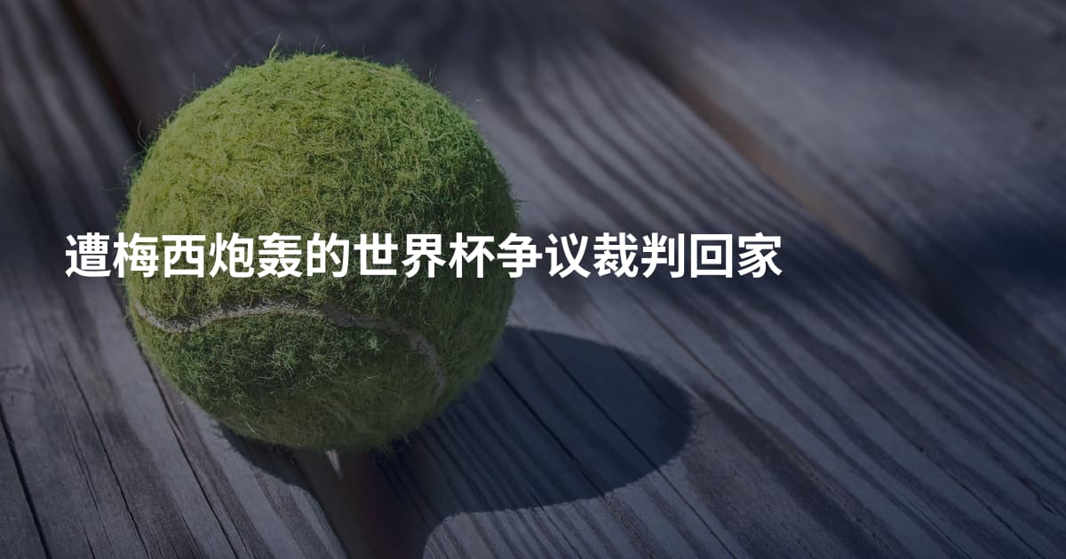 遭梅西炮轰的世界杯争议裁判回家