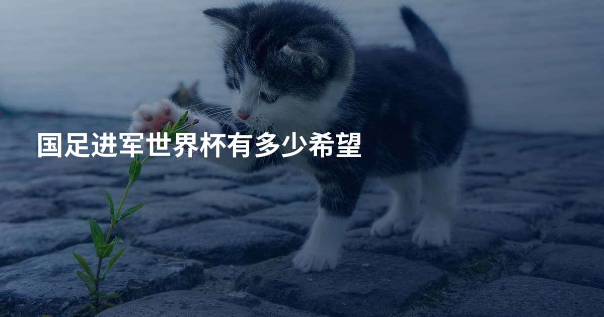 国足进军世界杯有多少希望