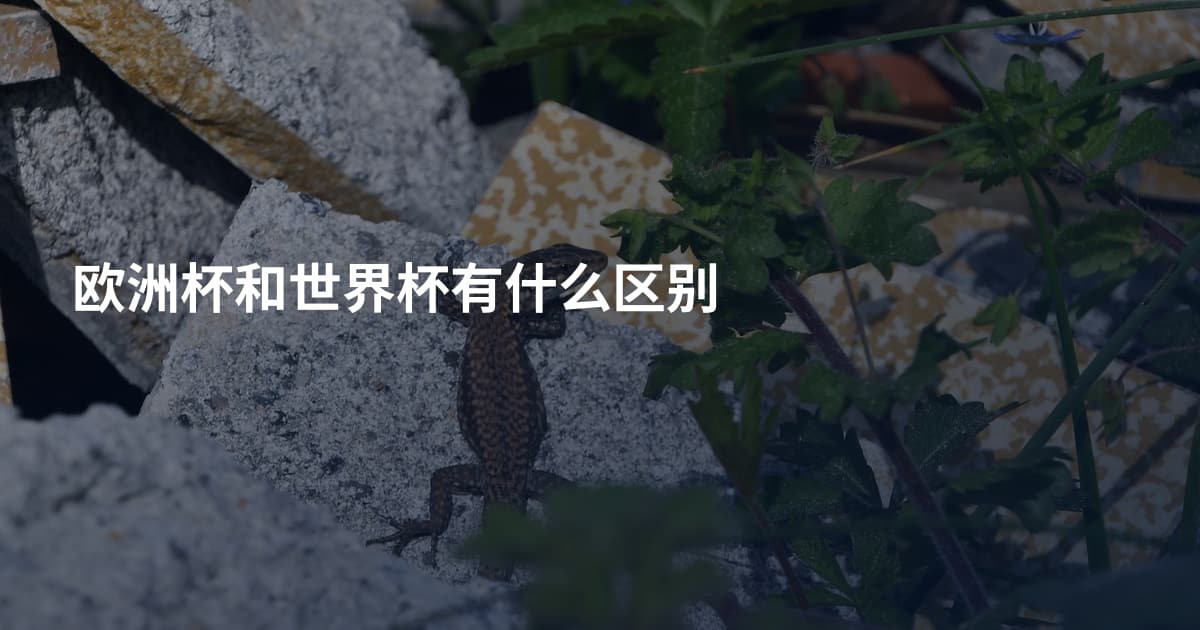 欧洲杯和世界杯有什么区别