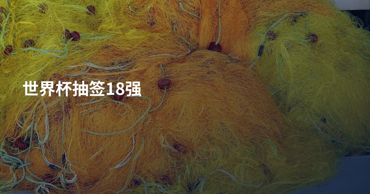 世界杯抽签18强