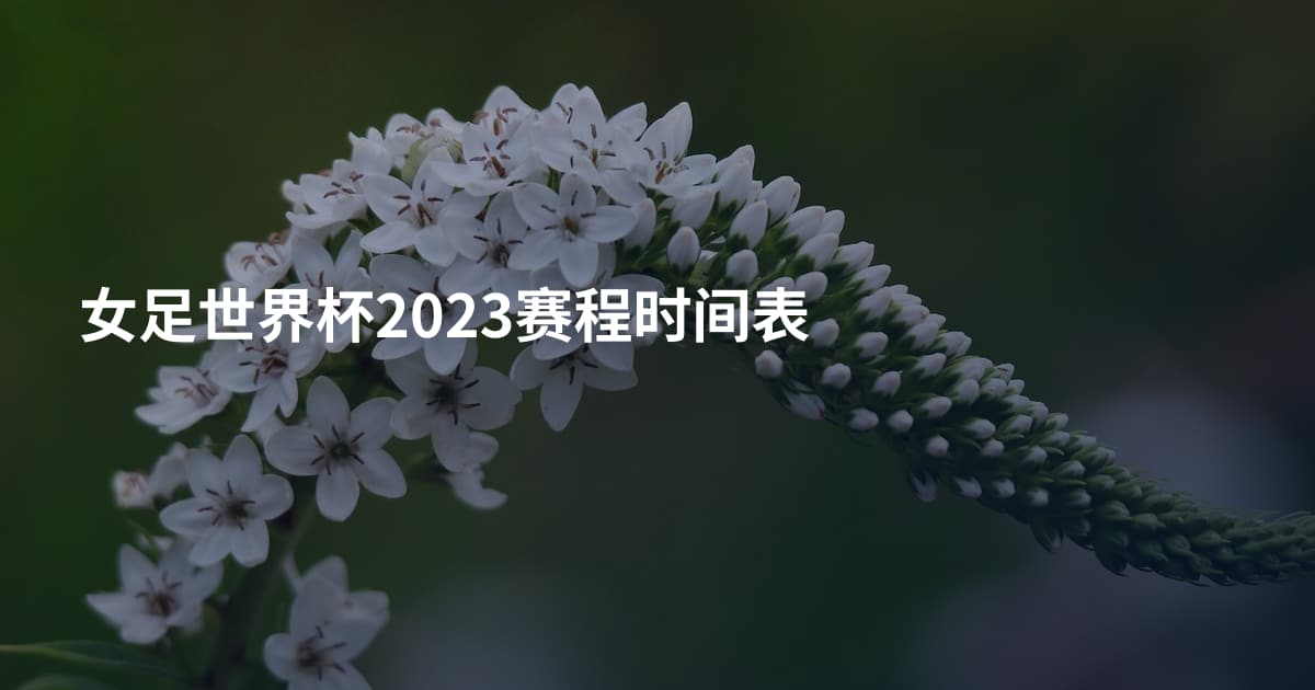 女足世界杯2023赛程时间表