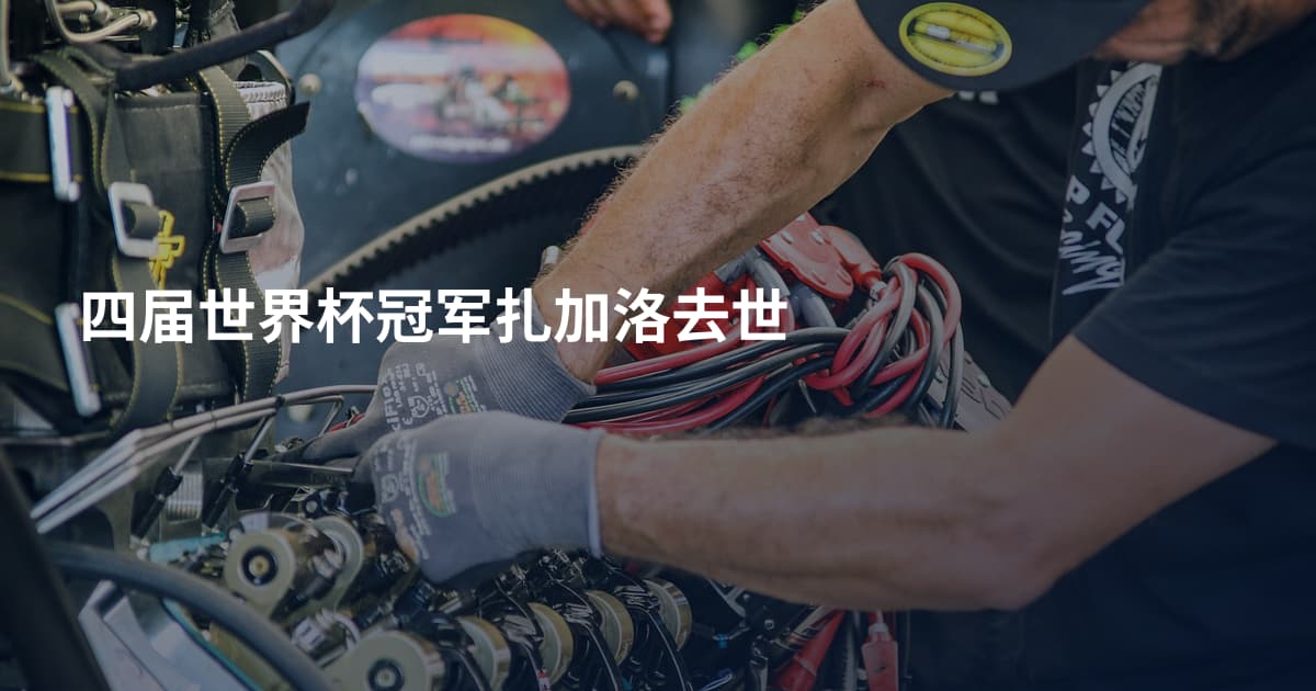四届世界杯冠军扎加洛去世