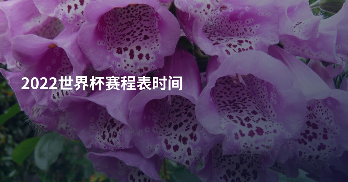 2022世界杯赛程表时间