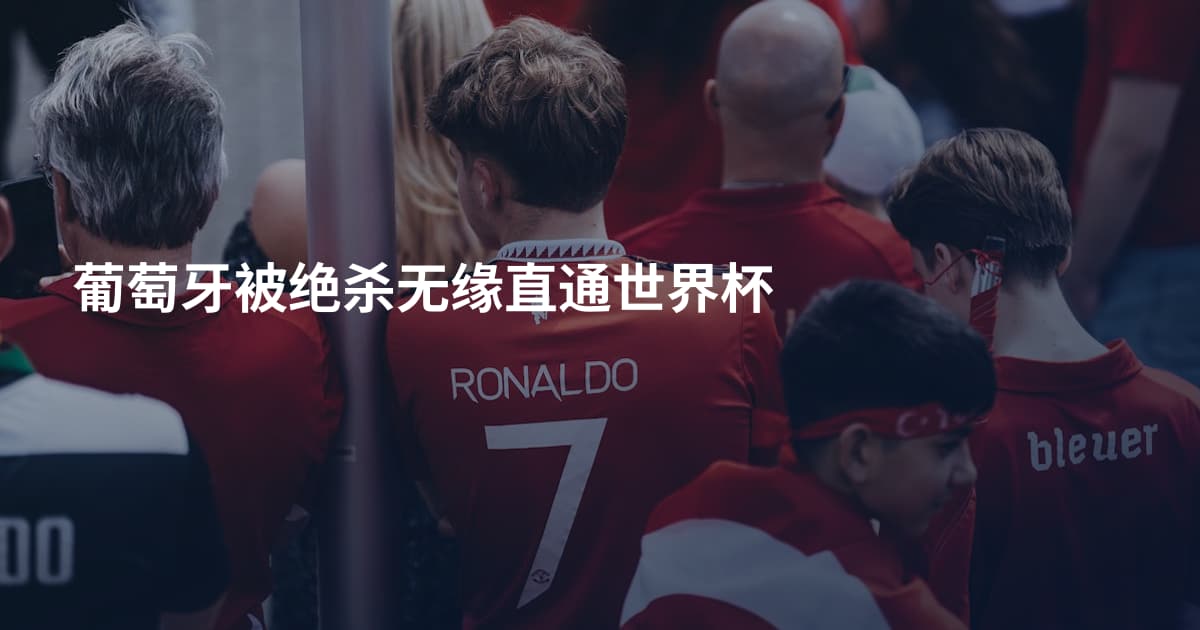 葡萄牙被绝杀无缘直通世界杯
