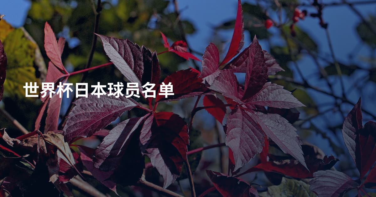 世界杯日本球员名单