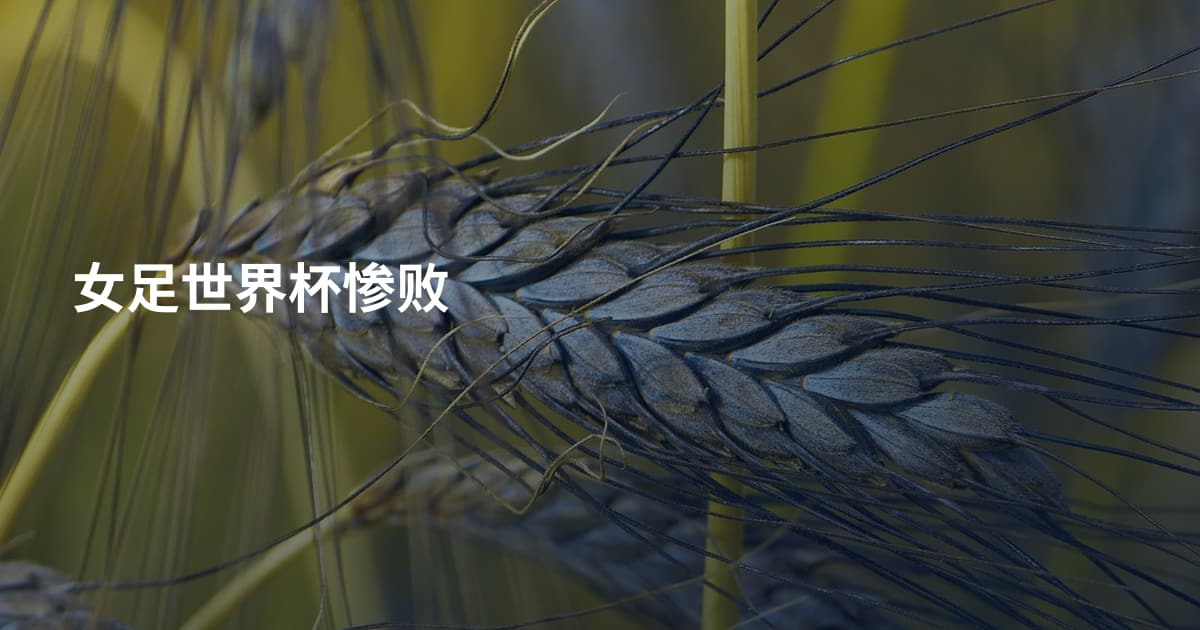 女足世界杯惨败