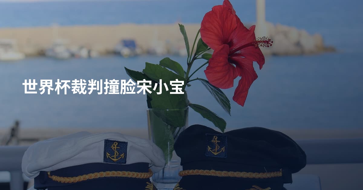 世界杯裁判撞脸宋小宝