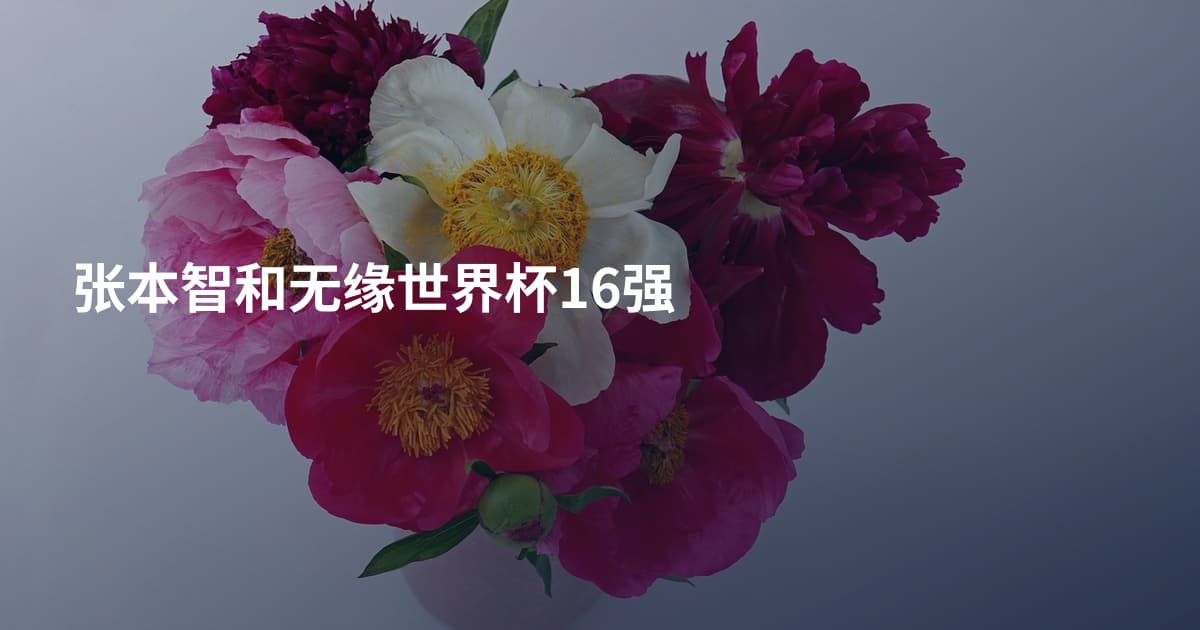 张本智和无缘世界杯16强