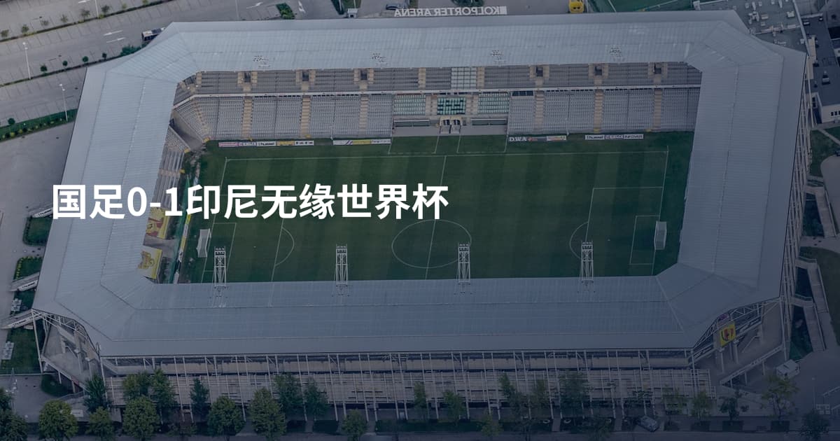国足0-1印尼无缘世界杯
