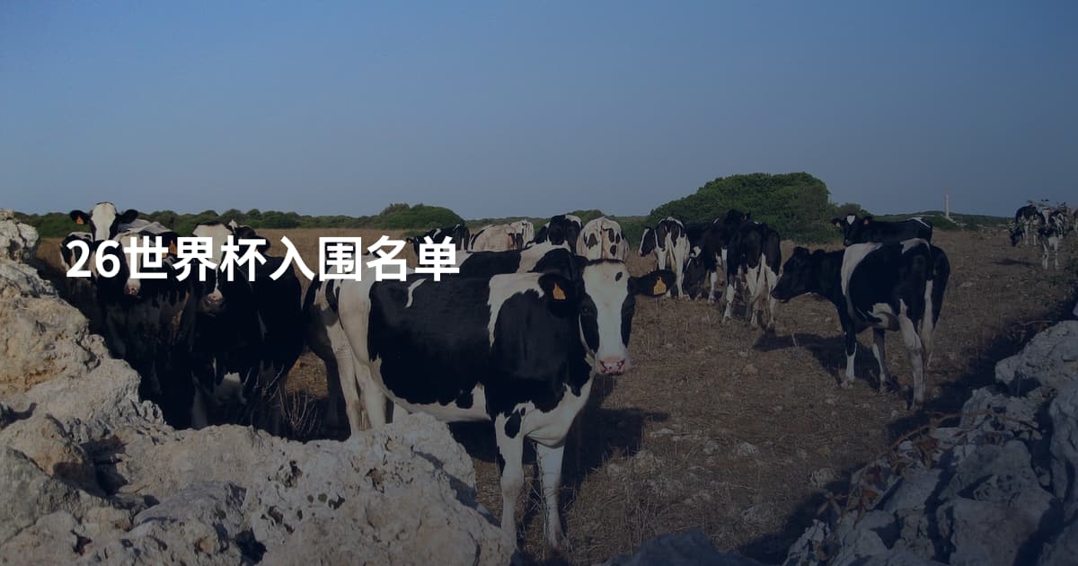 26世界杯入围名单
