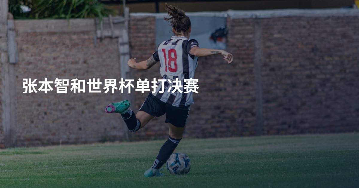 张本智和世界杯单打决赛