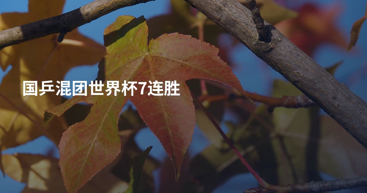 国乒混团世界杯7连胜