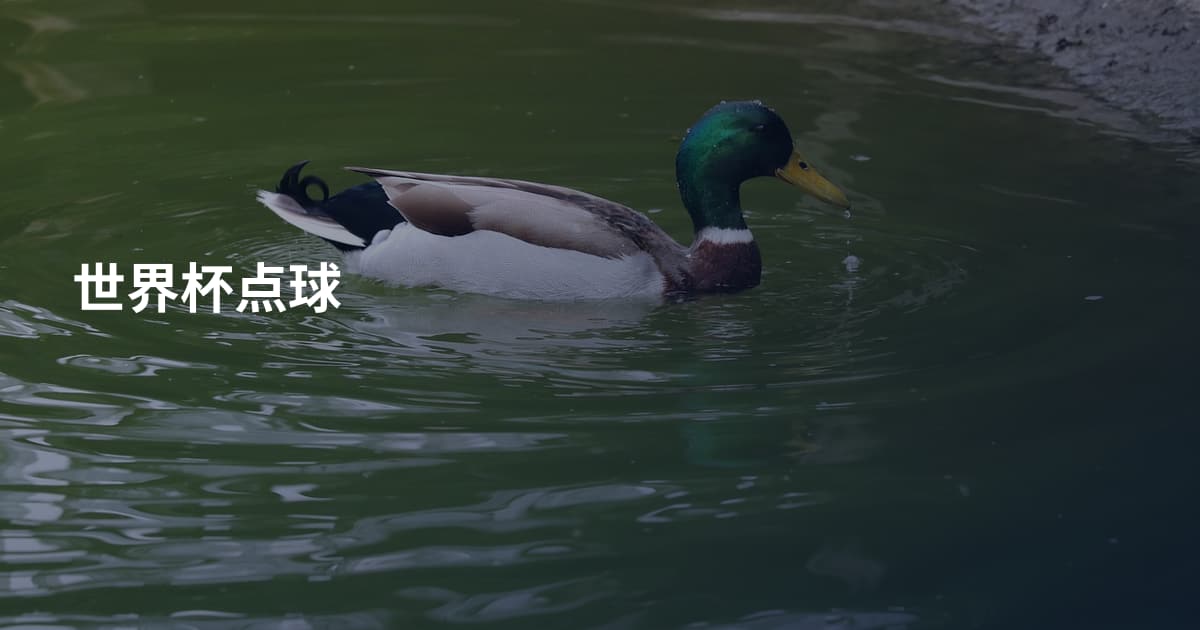 世界杯点球
