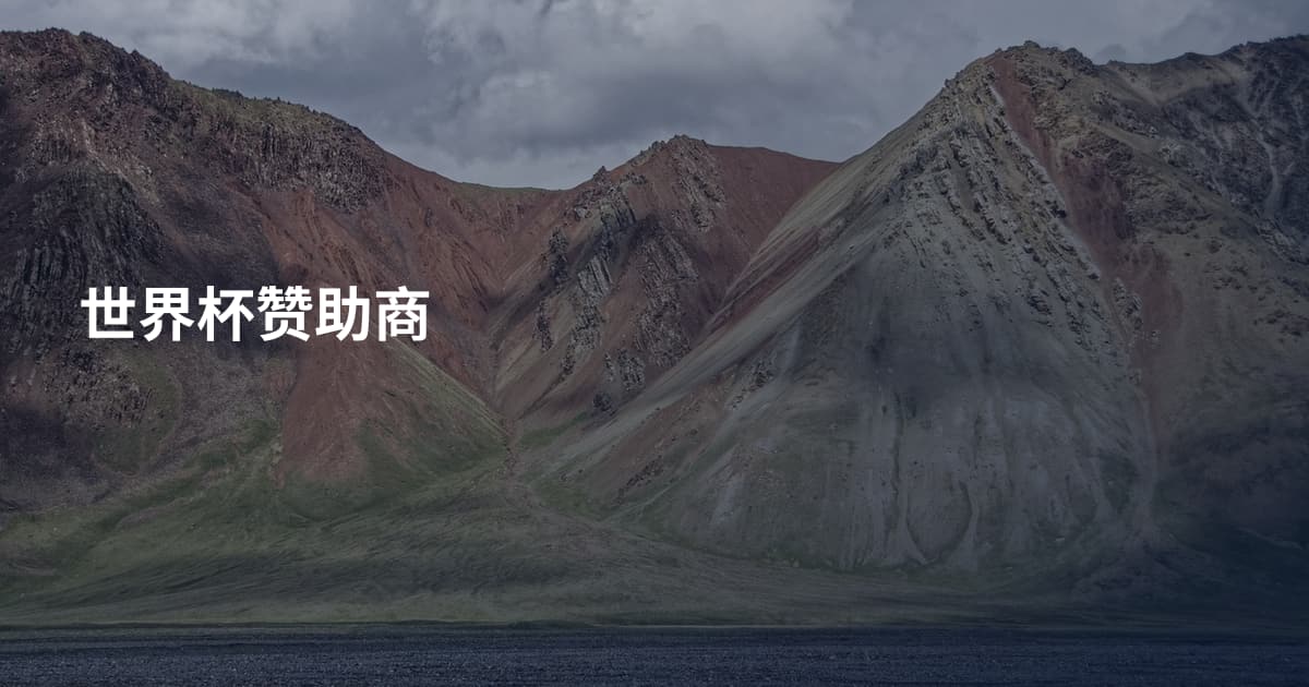 世界杯赞助商