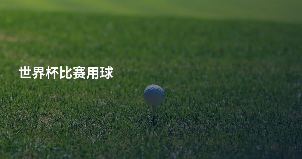 世界杯比赛用球
