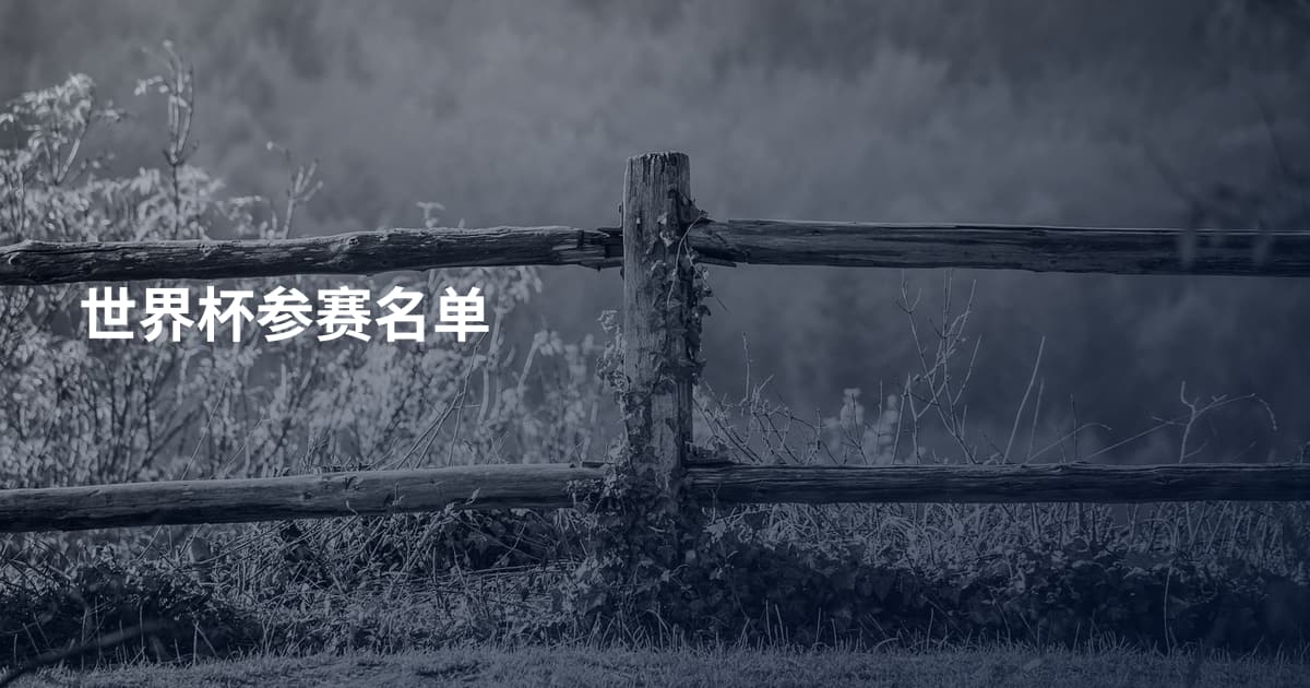 世界杯参赛名单