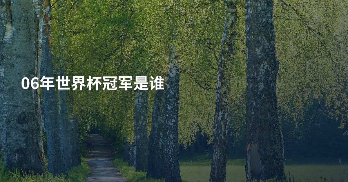 06年世界杯冠军是谁