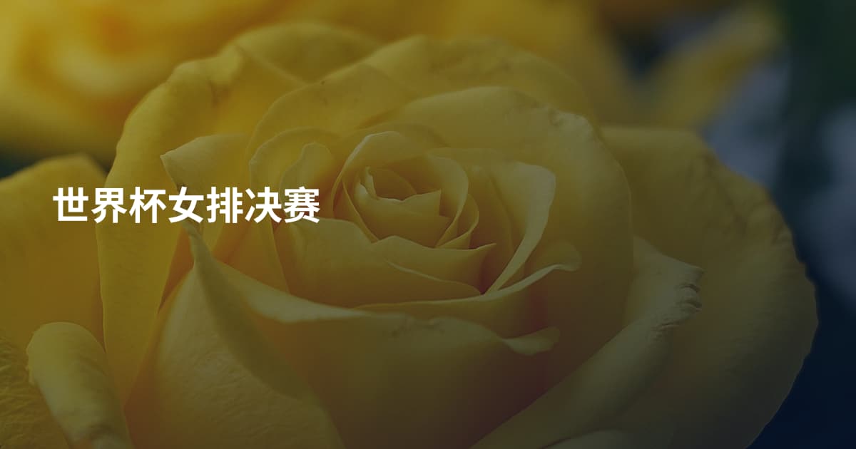世界杯女排决赛