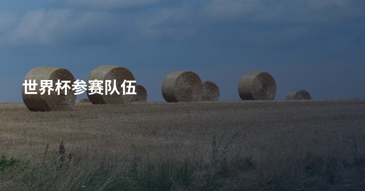 世界杯参赛队伍