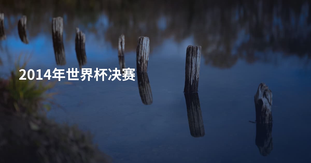 2014年世界杯决赛