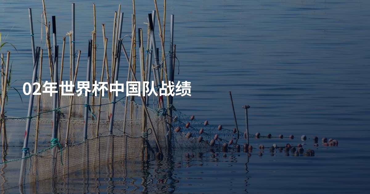 02年世界杯中国队战绩