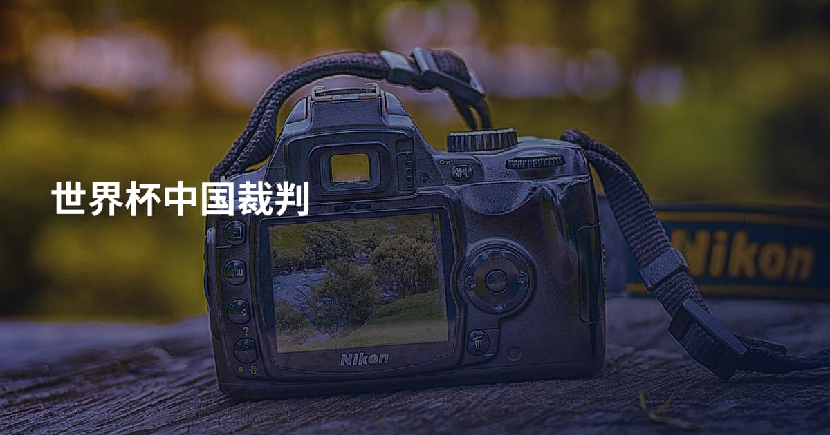 世界杯中国裁判