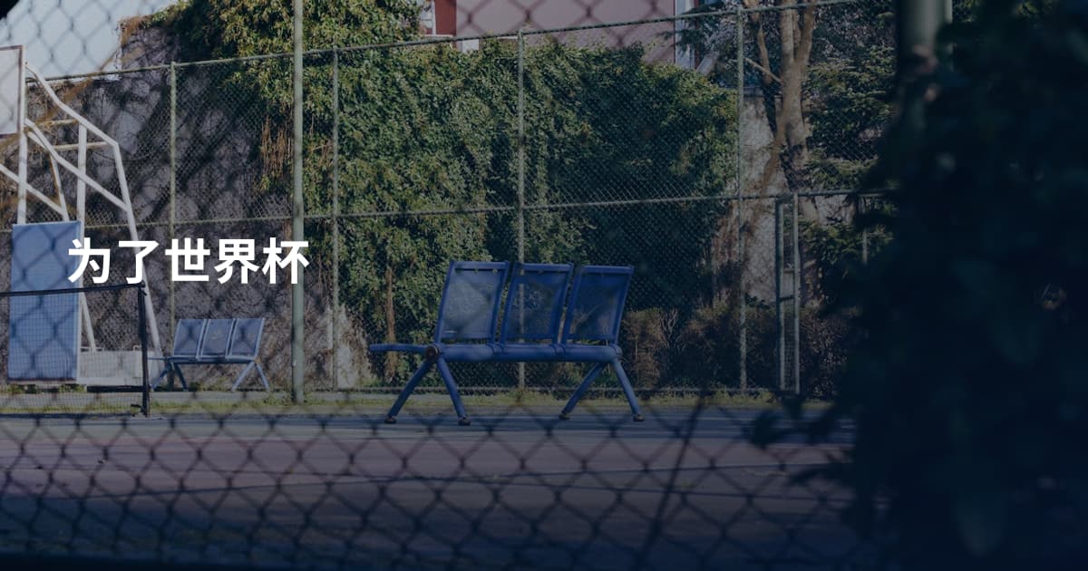 为了世界杯