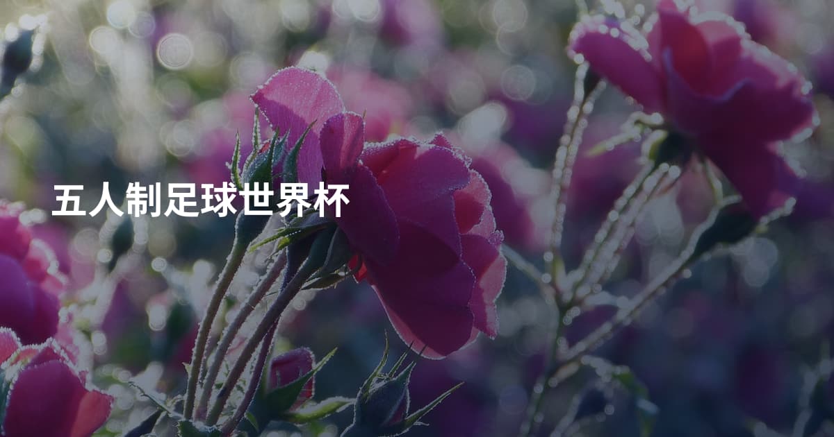 五人制足球世界杯