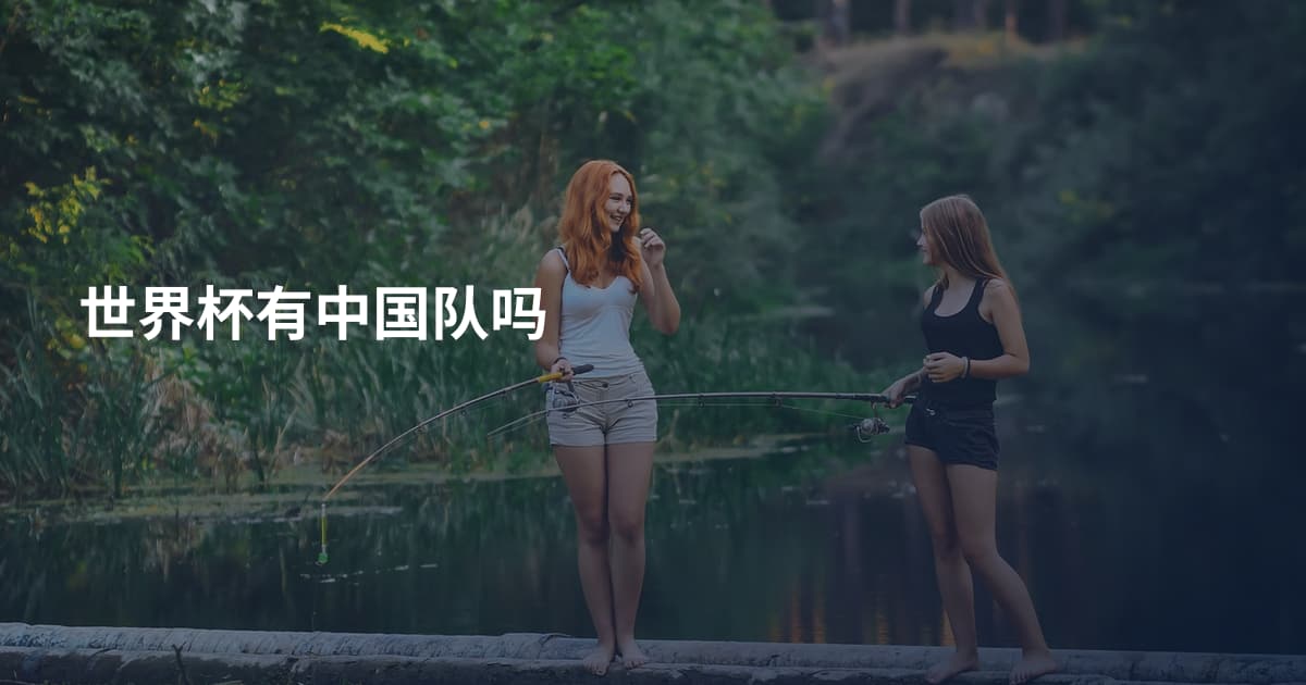 世界杯有中国队吗