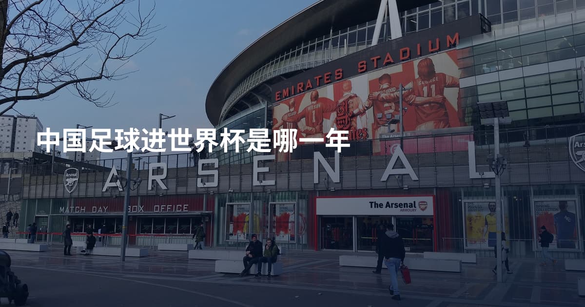 中国足球进世界杯是哪一年