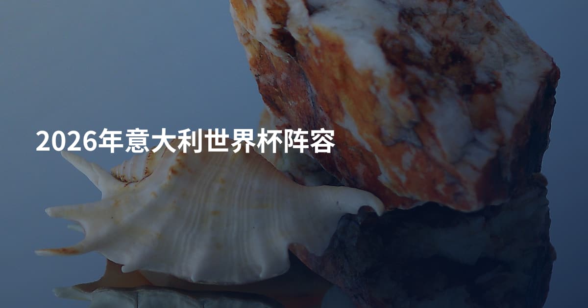 2026年意大利世界杯阵容