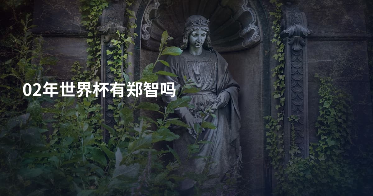 02年世界杯有郑智吗