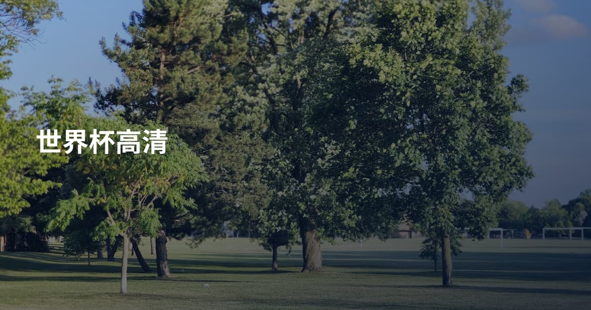 世界杯高清