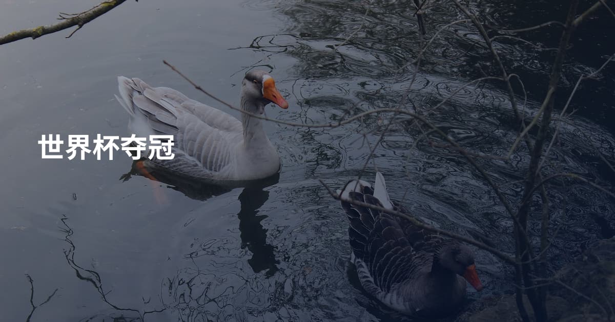 世界杯夺冠