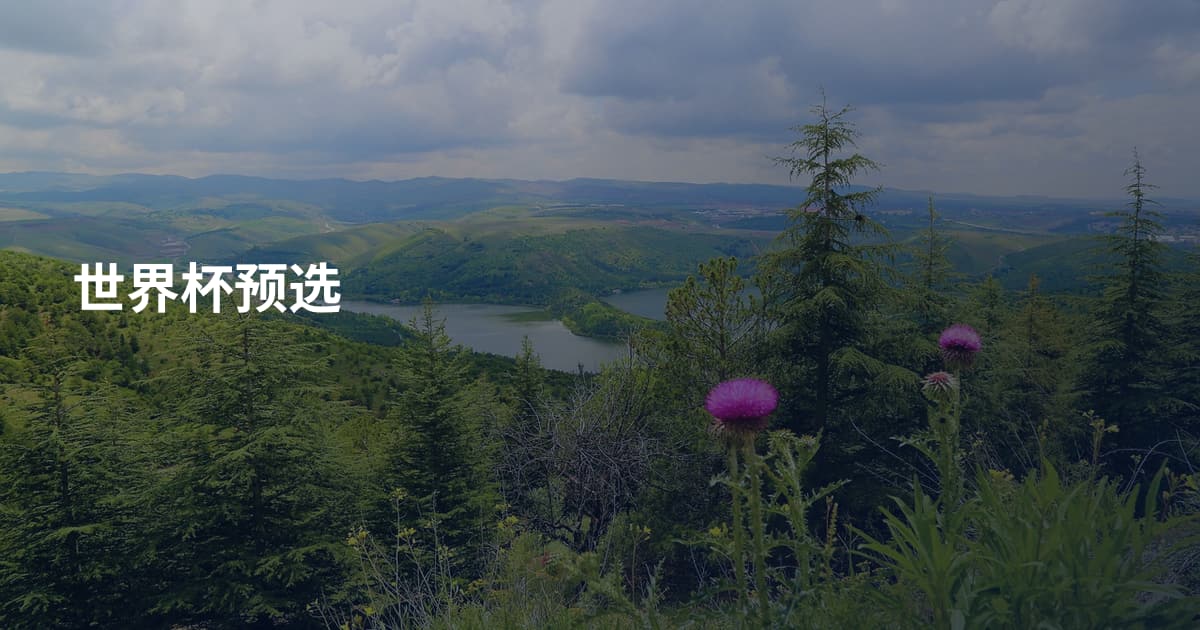世界杯预选