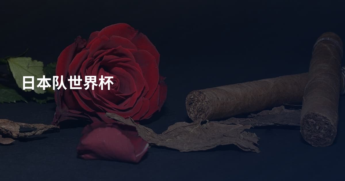 日本队世界杯