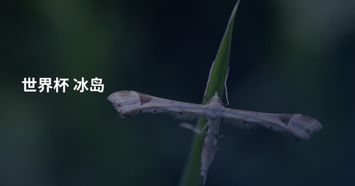 世界杯 冰岛