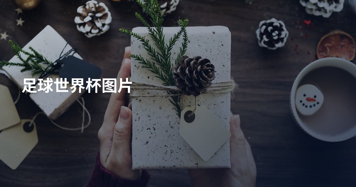 足球世界杯图片