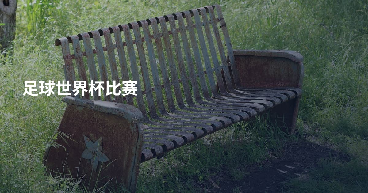 足球世界杯比赛