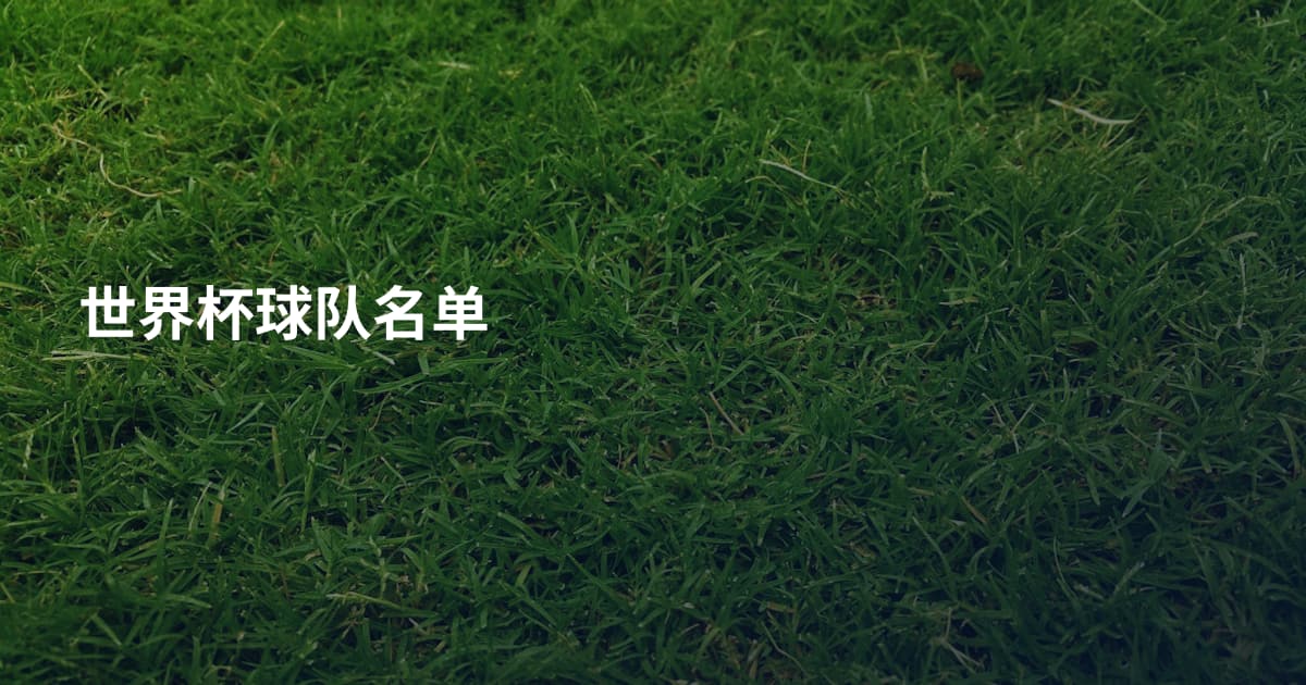 世界杯球队名单