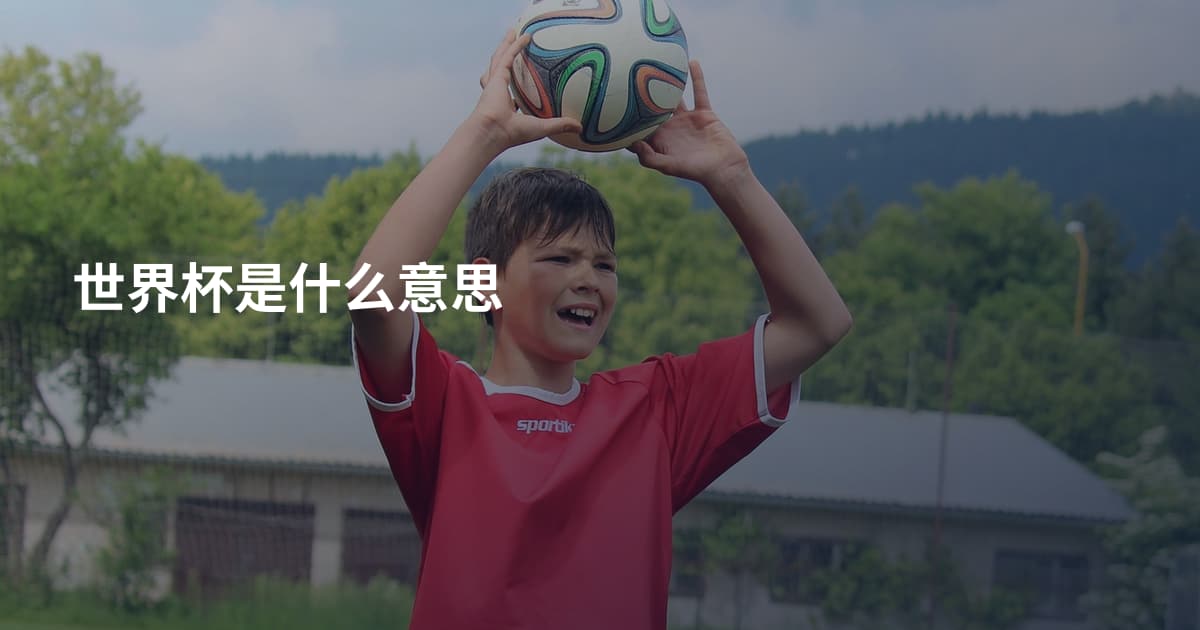 世界杯是什么意思