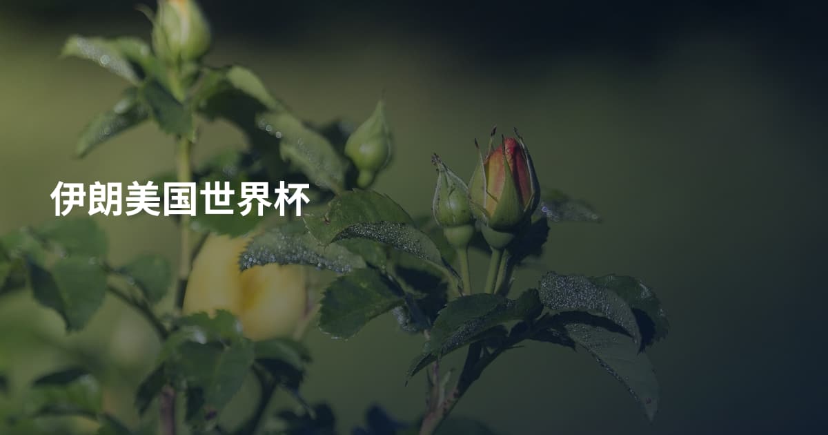 伊朗美国世界杯