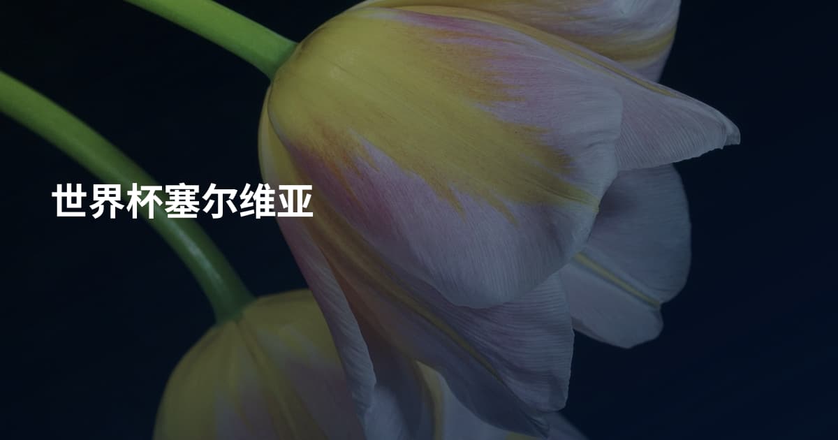 世界杯塞尔维亚