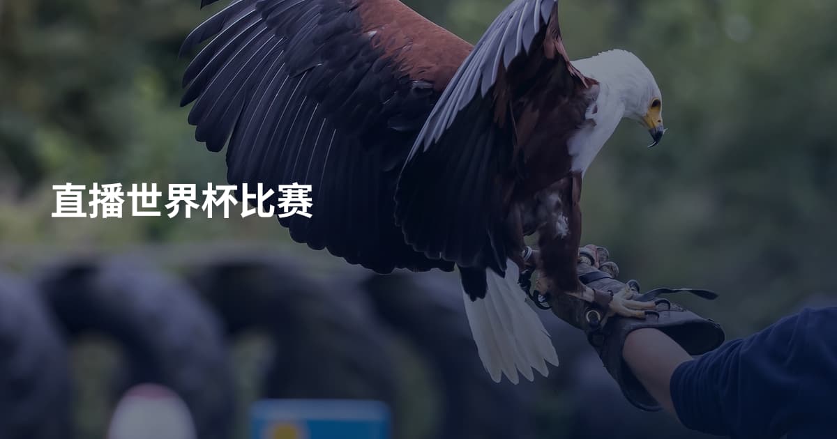 直播世界杯比赛
